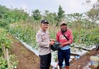 Polsek Nyalindung Polres Sukabumi Laksanakan Sambang dan DDS Bersama Warga Desa Nyalindung