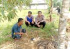 Polsek Kalapanunggal Polres Sukabumi Tingkatkan Kamtibmas Melalui Giat Sambang dan DDS Bhabinkamtibmas Desa Walangsari